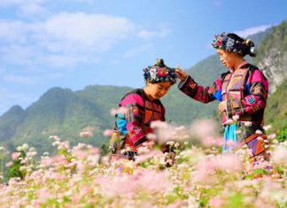 Du lịch hè Hà Giang nơi địa đầu của Tổ quốc núi non, thiên nhiên kỳ vĩ tuyệt đẹp khắp 4 mùa du lich ha giang