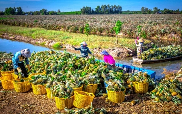 Điểm danh top 6 địa điểm vui chơi ở Vị Thanh, Hậu Giang nổi tiếng nhất