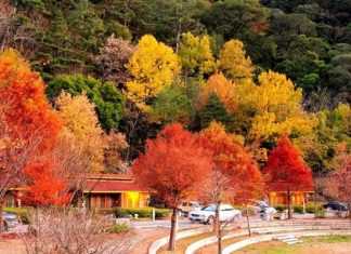 Trang trại Wuling - thiên đường du lịch sinh thái nổi tiếng Đài Loan